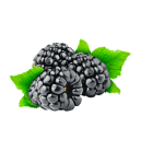 black-grapes
