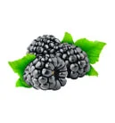 grapes