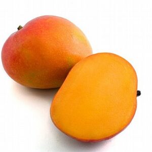 מנגו מאיה
