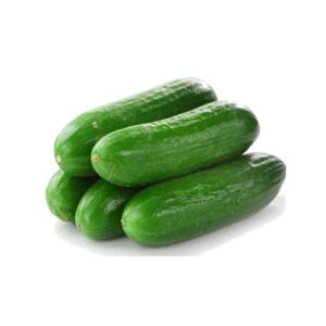 מלפפון חממה מובחר